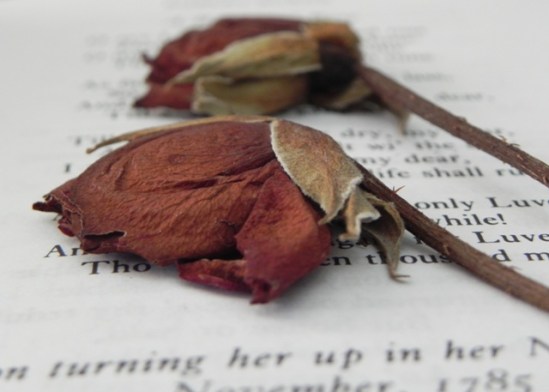 ???????????????????????????????