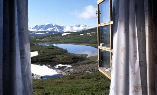 View From the Window